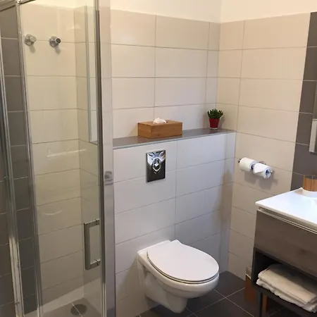 Du Pont Vieux Готель 3*