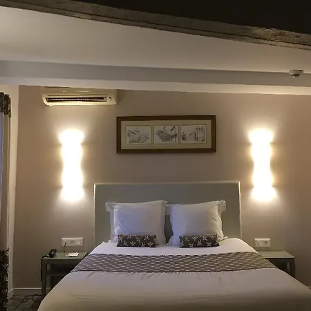 Du Pont Vieux, Au Pied De La Cite Готель 3*