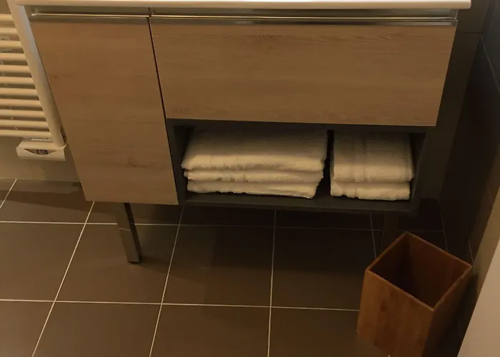 Hotel Du Pont Vieux Carcassonne