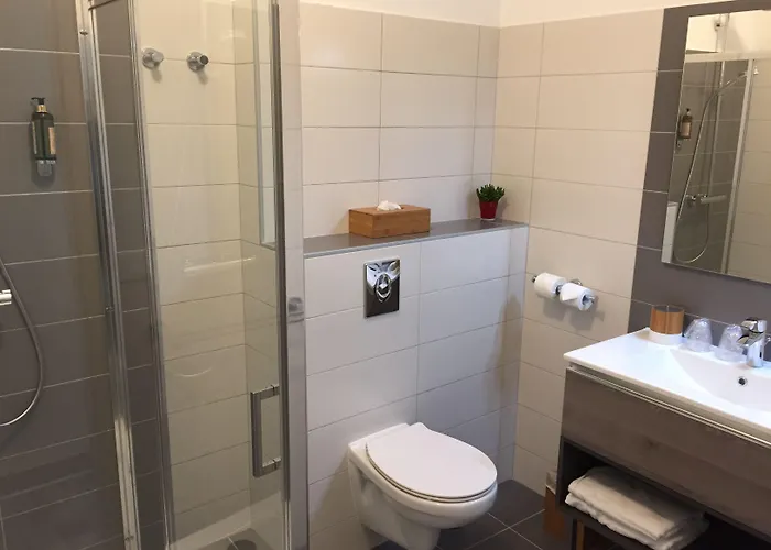 Du Pont Vieux Ξενοδοχείο